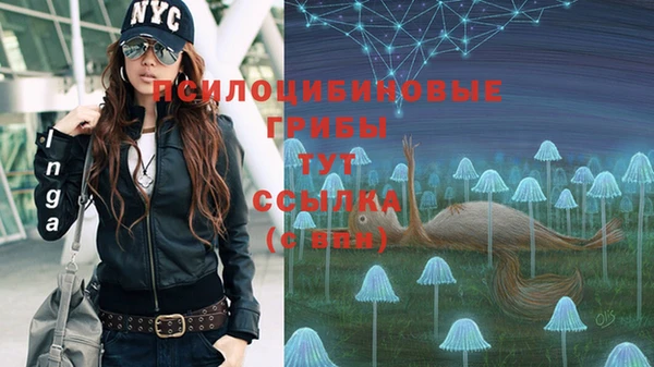 мяу мяу мука Нязепетровск
