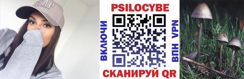 Галлюциногенные грибы GOLDEN TEACHER  магазин    Рыльск 